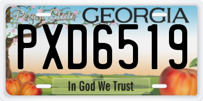 GA license plate PXD6519
