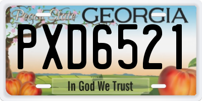 GA license plate PXD6521