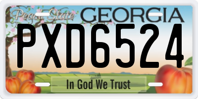 GA license plate PXD6524