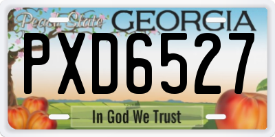 GA license plate PXD6527