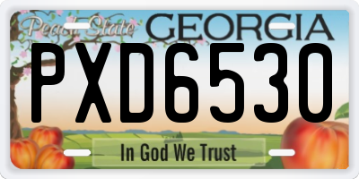 GA license plate PXD6530