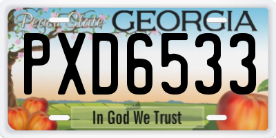 GA license plate PXD6533