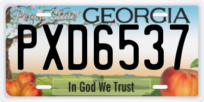 GA license plate PXD6537