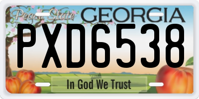 GA license plate PXD6538