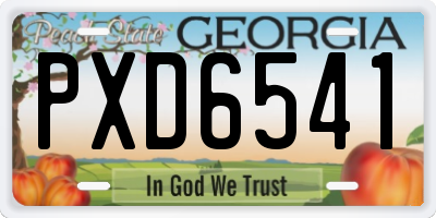 GA license plate PXD6541