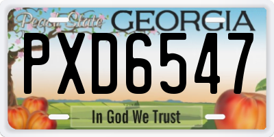 GA license plate PXD6547