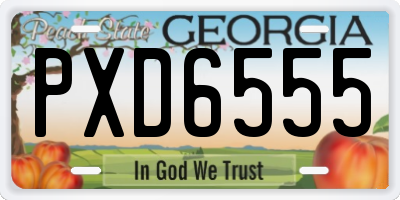 GA license plate PXD6555