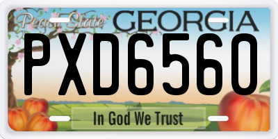 GA license plate PXD6560