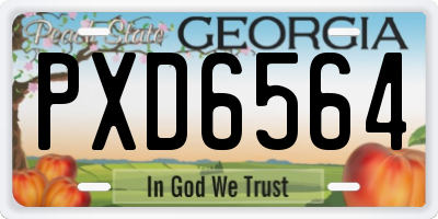 GA license plate PXD6564