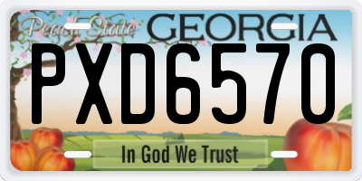 GA license plate PXD6570