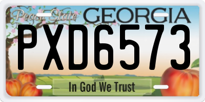 GA license plate PXD6573