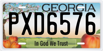 GA license plate PXD6576