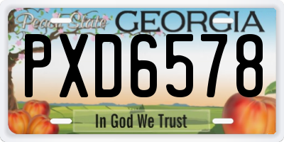 GA license plate PXD6578