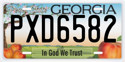 GA license plate PXD6582