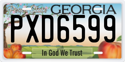 GA license plate PXD6599