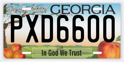 GA license plate PXD6600