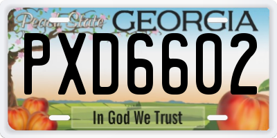 GA license plate PXD6602