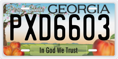 GA license plate PXD6603