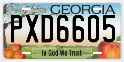 GA license plate PXD6605