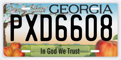 GA license plate PXD6608