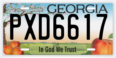 GA license plate PXD6617