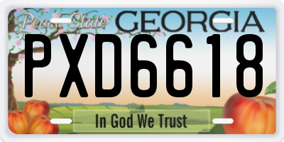 GA license plate PXD6618