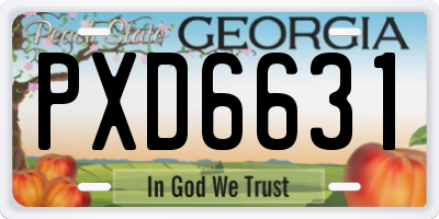 GA license plate PXD6631