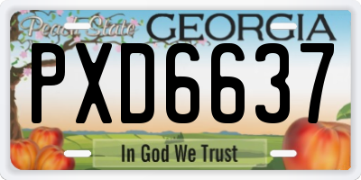GA license plate PXD6637