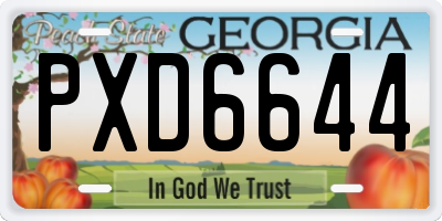 GA license plate PXD6644