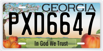 GA license plate PXD6647