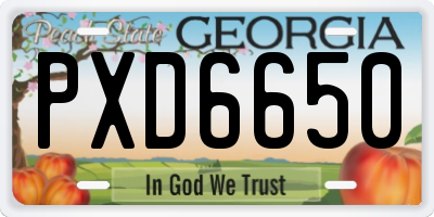 GA license plate PXD6650