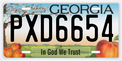 GA license plate PXD6654