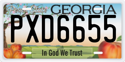 GA license plate PXD6655