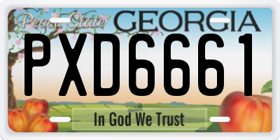 GA license plate PXD6661