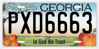 GA license plate PXD6663