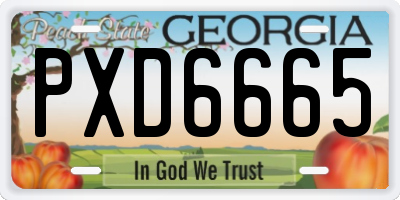 GA license plate PXD6665