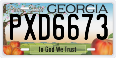 GA license plate PXD6673