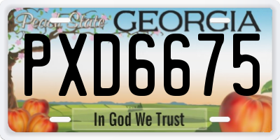 GA license plate PXD6675
