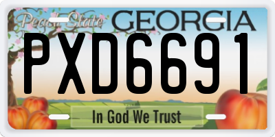GA license plate PXD6691