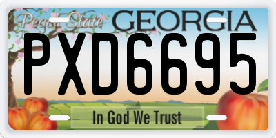 GA license plate PXD6695