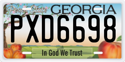 GA license plate PXD6698