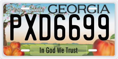GA license plate PXD6699