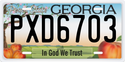 GA license plate PXD6703