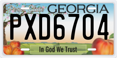 GA license plate PXD6704