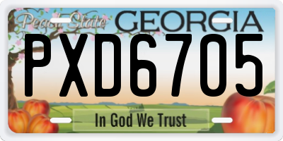 GA license plate PXD6705