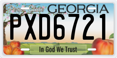 GA license plate PXD6721