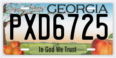 GA license plate PXD6725