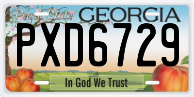 GA license plate PXD6729