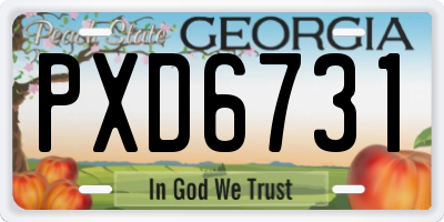 GA license plate PXD6731