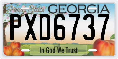 GA license plate PXD6737